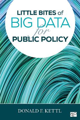 Book cover for Little Bites of Big Data for Public Policy