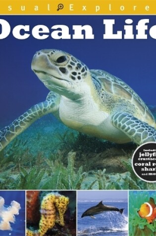 Cover of Visual Explorers: Ocean Life