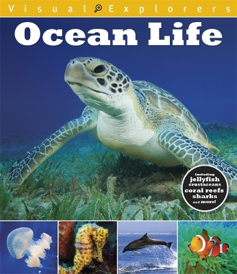 Book cover for Visual Explorers: Ocean Life