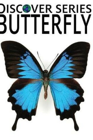 Cover of Butterfly