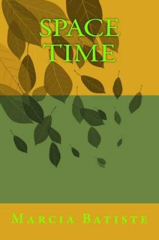 Cover of Space Time