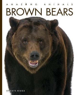 Cover of Brown Bears