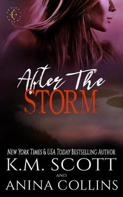 Book cover for After the Storm