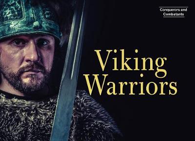 Cover of Viking Warriors