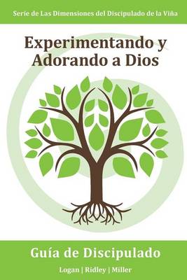 Book cover for Experimentando y Adorando a Dios