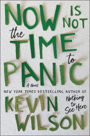 Cover of Now Is Not the Time to Panic