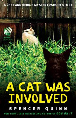 Cover of A Cat Was Involved