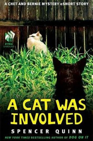 Cover of A Cat Was Involved