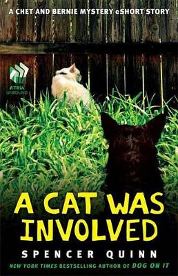 Book cover for A Cat Was Involved
