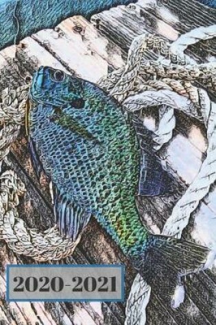 Cover of Purple Blue Teal & Green Bluegill on a Dock Dated Calendar Planner 2 years To-Do Lists, Tasks, Notes Appointments Book