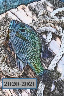 Cover of Purple Blue Teal & Green Bluegill on a Dock Dated Calendar Planner 2 years To-Do Lists, Tasks, Notes Appointments Book