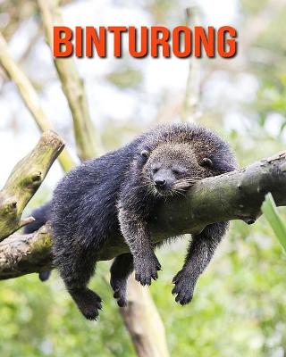 Book cover for Binturong