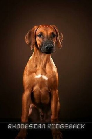 Cover of Rhodesian Ridgeback