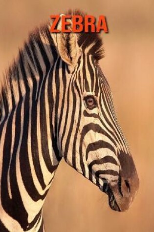 Cover of Zebra