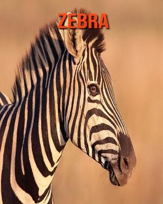 Book cover for Zebra