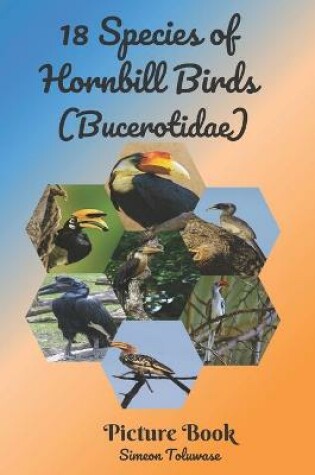 Cover of 18 Species of Hornbill Birds (Bucerotidae) Picture Book