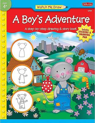 Book cover for A Boy's Adventure