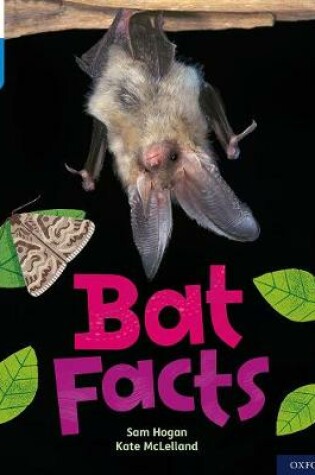 Cover of Oxford Reading Tree Word Sparks: Level 3: Bat Facts