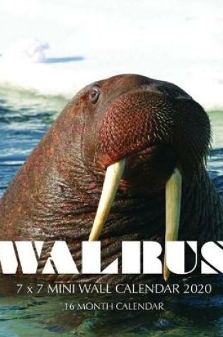 Cover of Walrus 7 x 7 Mini Wall Calendar 2020