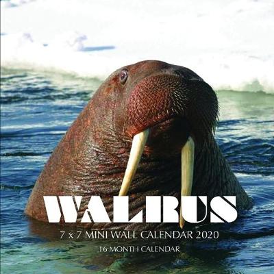 Book cover for Walrus 7 x 7 Mini Wall Calendar 2020