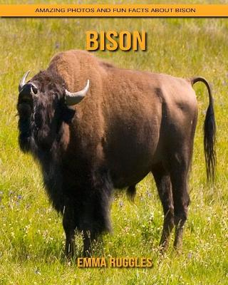 Book cover for Bison