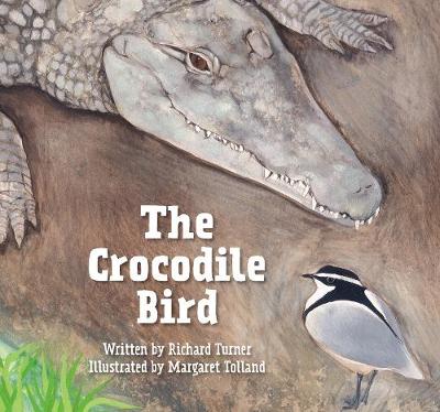 Book cover for The Crocodile Bird