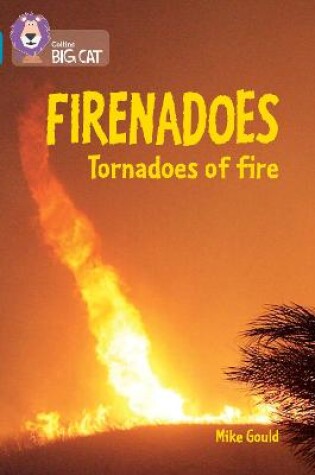 Cover of Firenadoes: Tornadoes of fire
