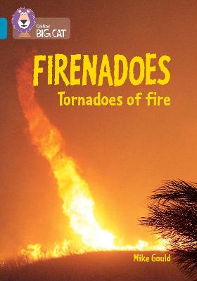 Book cover for Firenadoes: Tornadoes of fire