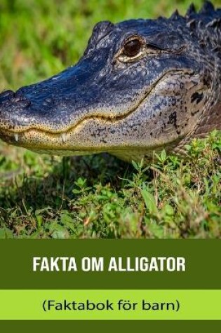 Cover of Fakta om Alligator (Faktabok för barn)