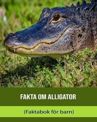 Book cover for Fakta om Alligator (Faktabok för barn)