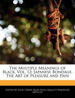 Book cover for The Multiple Meanings of Black, Vol. 12