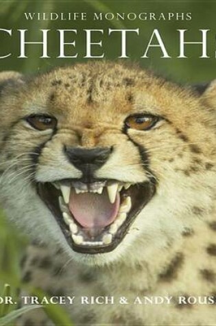 Cover of Cheetahs