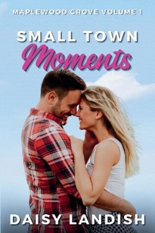 Cover of Small Town Moments