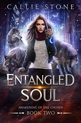 Cover of Entangled Soul