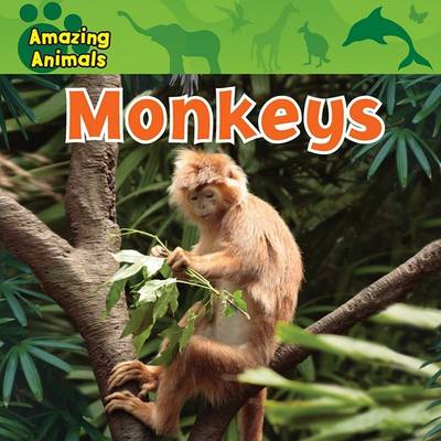 Cover of Monkeys