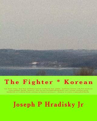 Book cover for The Fighter * Korean