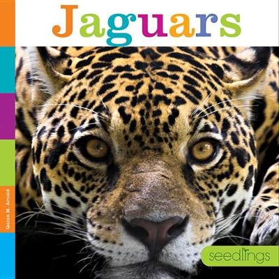 Cover of Jaguars