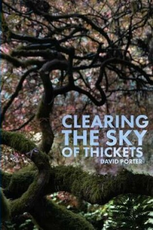Cover of Clearing the Sky of Thickets