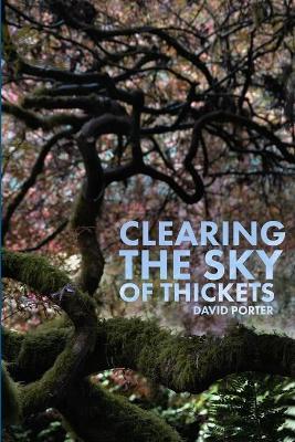 Book cover for Clearing the Sky of Thickets