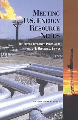 Book cover for Meeting U.S. Energy Resource Needs