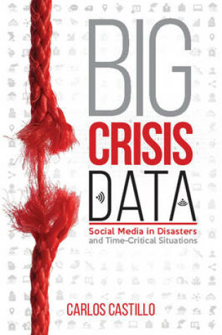 Cover of Big Crisis Data