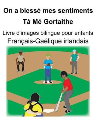 Book cover for Français-Gaélique irlandais On a blessé mes sentiments/Tá Mé Gortaithe Livre d'images bilingue pour enfants