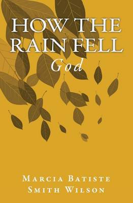 Book cover for How The Rain Fell