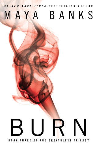 Book cover for Burn