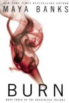 Book cover for Burn