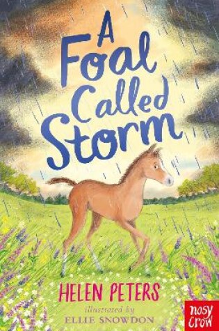 Cover of A Foal Called Storm