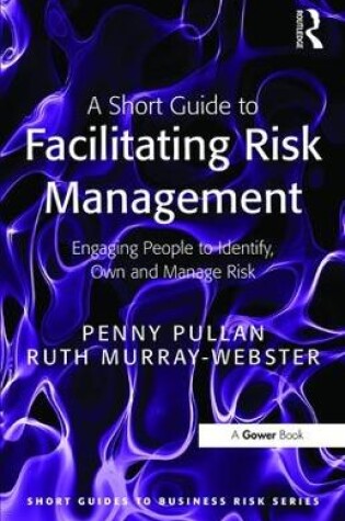 Cover of A Short Guide to Facilitating Risk Management