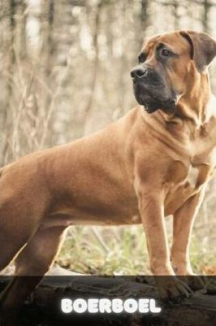 Cover of Boerboel