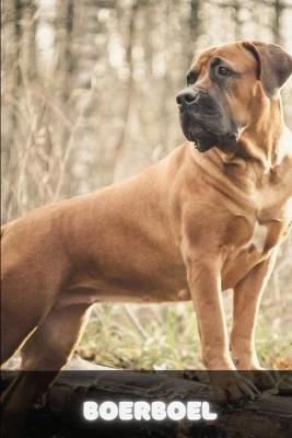 Book cover for Boerboel