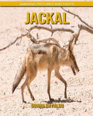 Book cover for Jackal